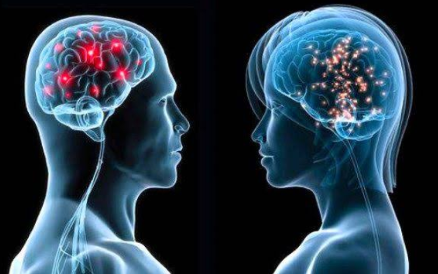 Male Vs Female Brain Differences Similarities And More Air Clinic 7465